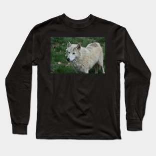 Wolf Long Sleeve T-Shirt